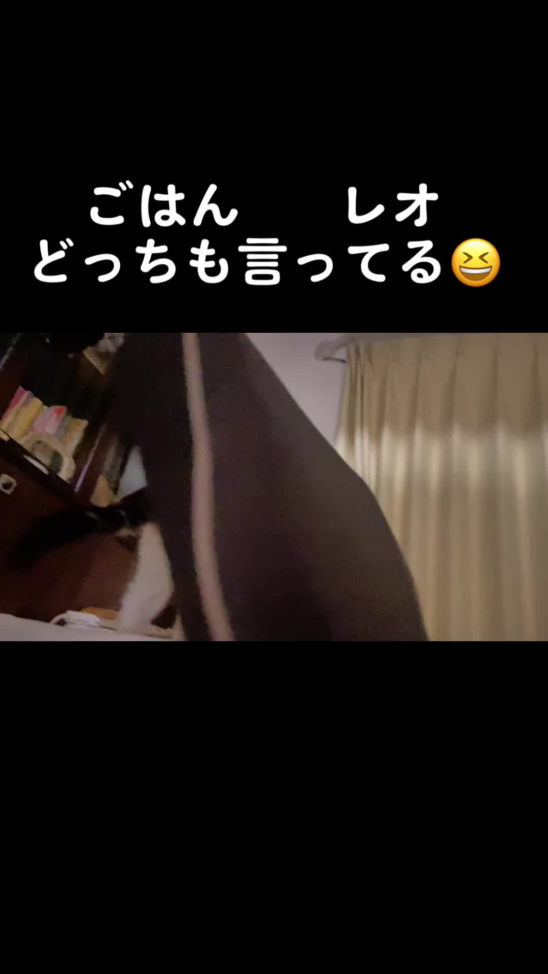 @レオฅ(^^ฅ)