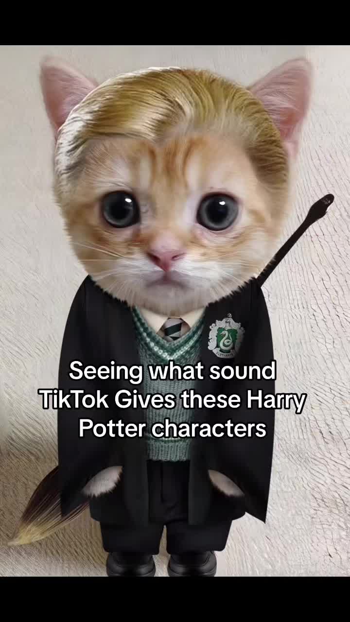 @drarry🐍⚡️🦁