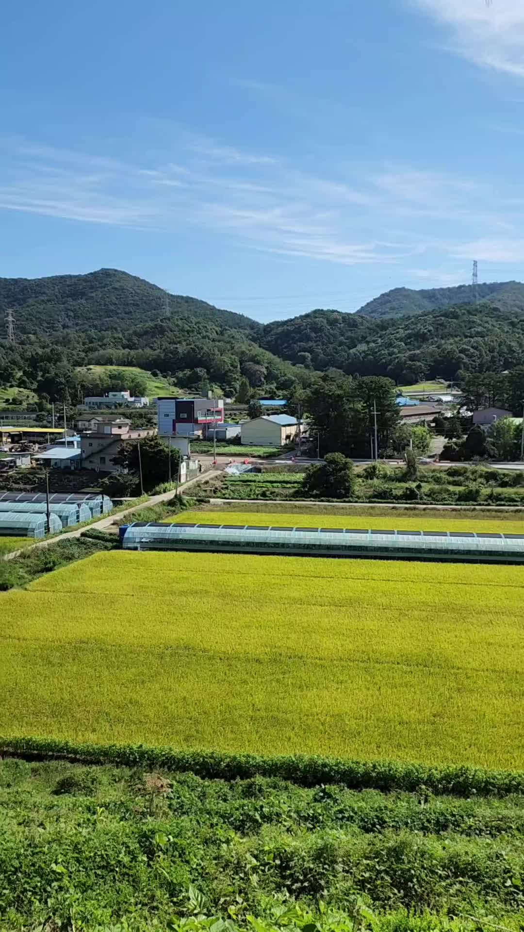 @Widiantoro이예요₩
