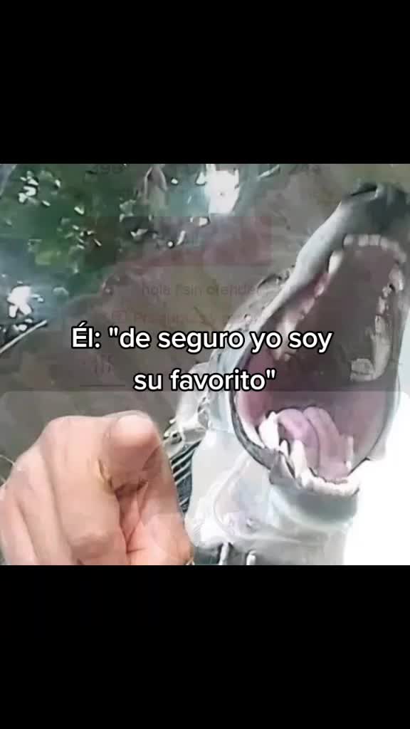 @&ntilde;