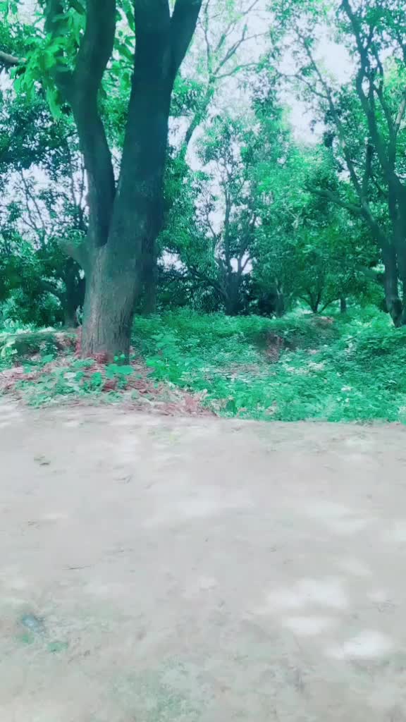 @Adv Neeraj Rawat Njr