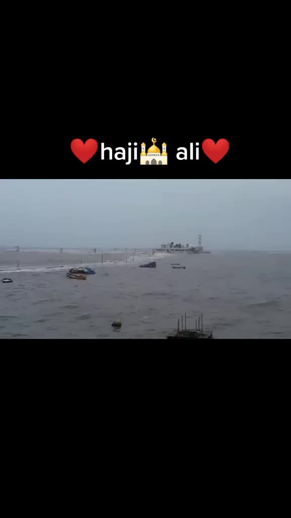 @👑شیخ وقار👑