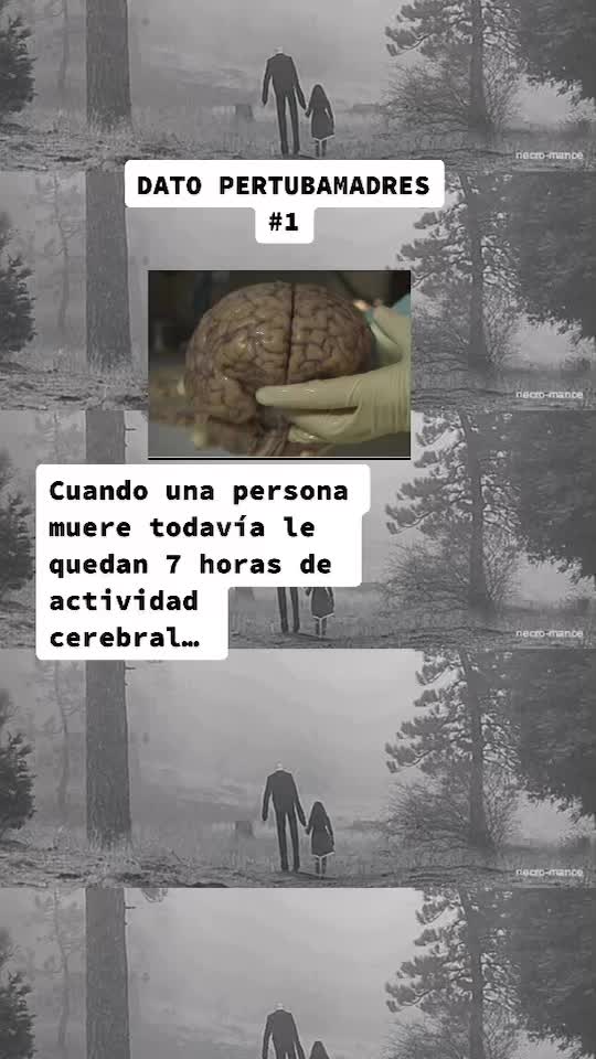 @datos.perturbamadres
