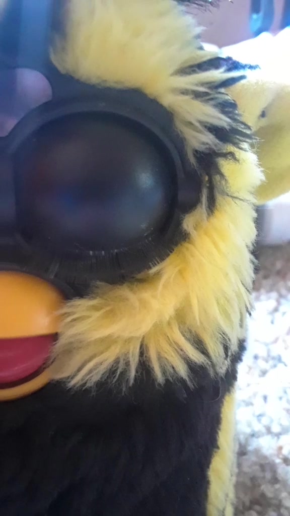 @I need more furbs