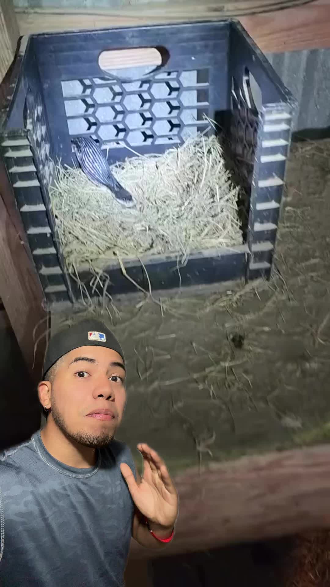 @Soy Sebassalvaje (dúos)
