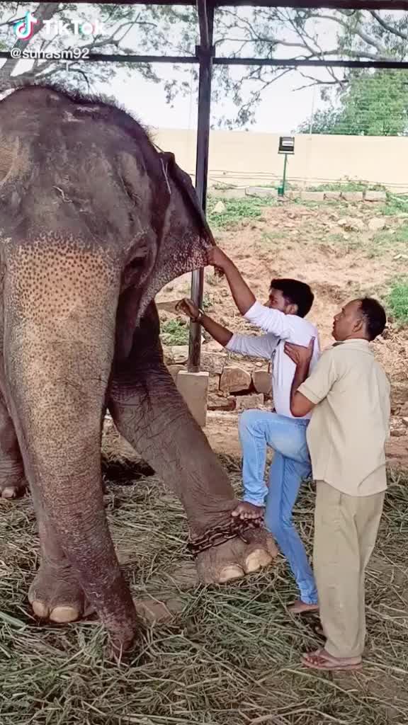 @Suprith Appu