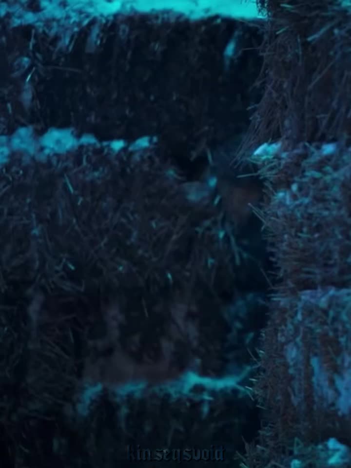 @𝐋𝐲𝐧𝐧