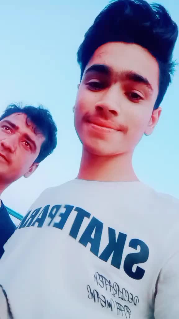 @gulfamdogar265