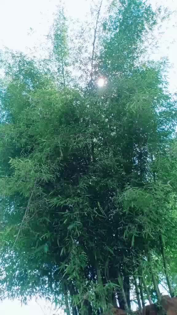 @Prabindas