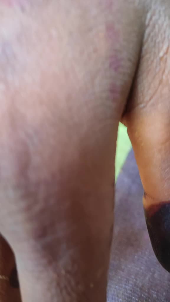 @बबन राठोड