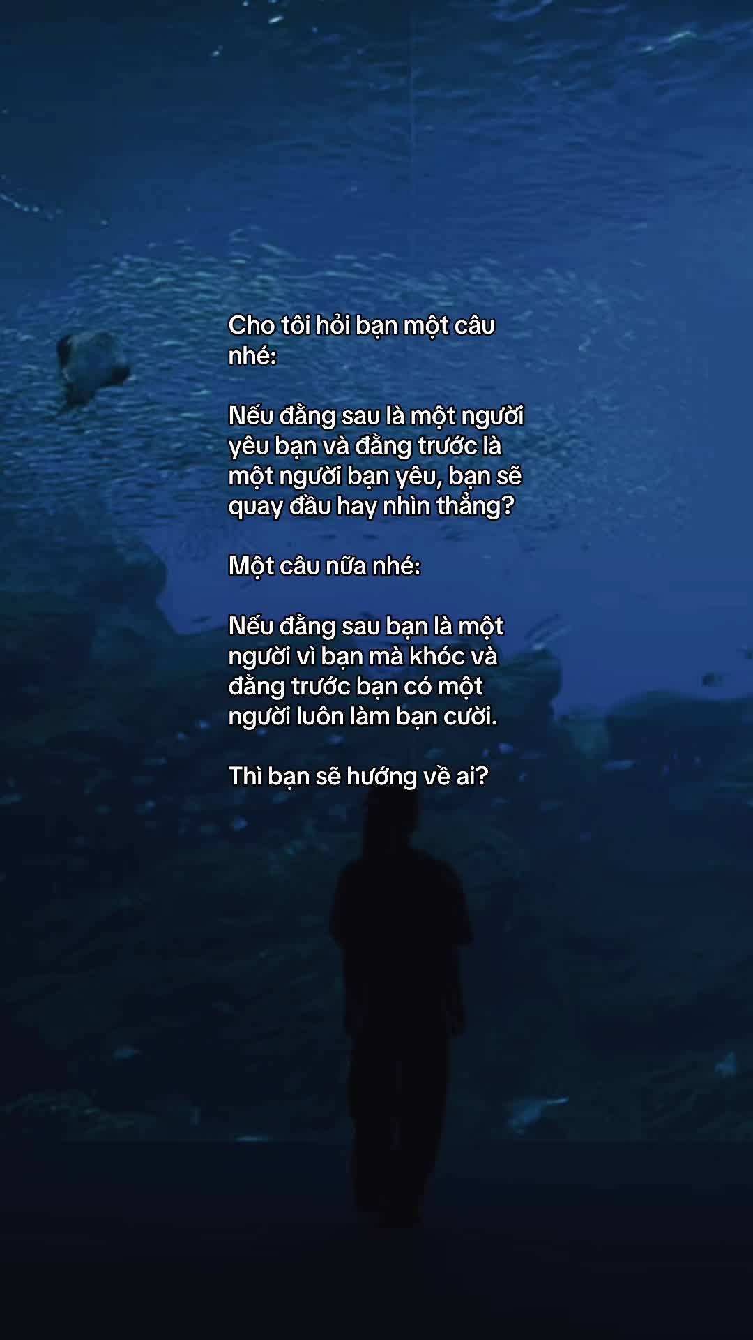 @Mèo Trắng 😾