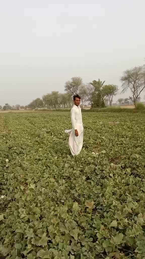 @Prince Younis Khan Balouch