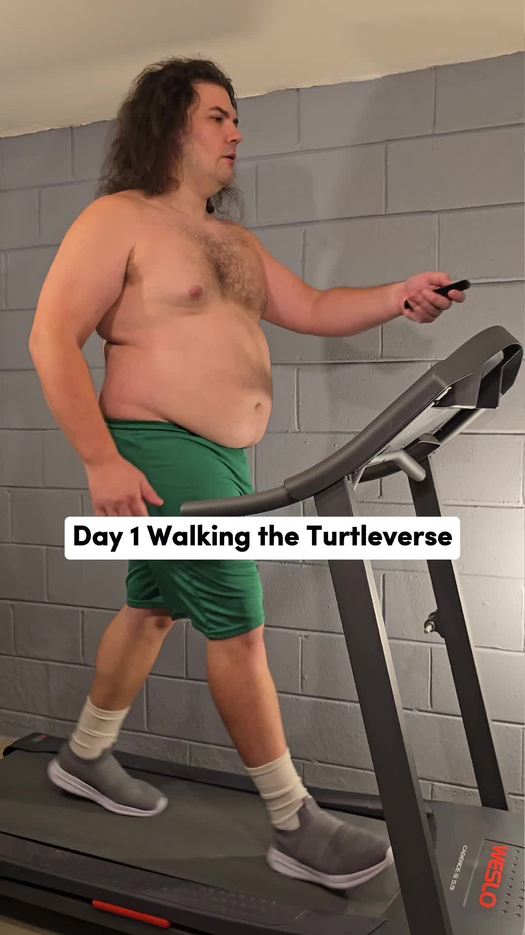 @Walking the Turtleverse