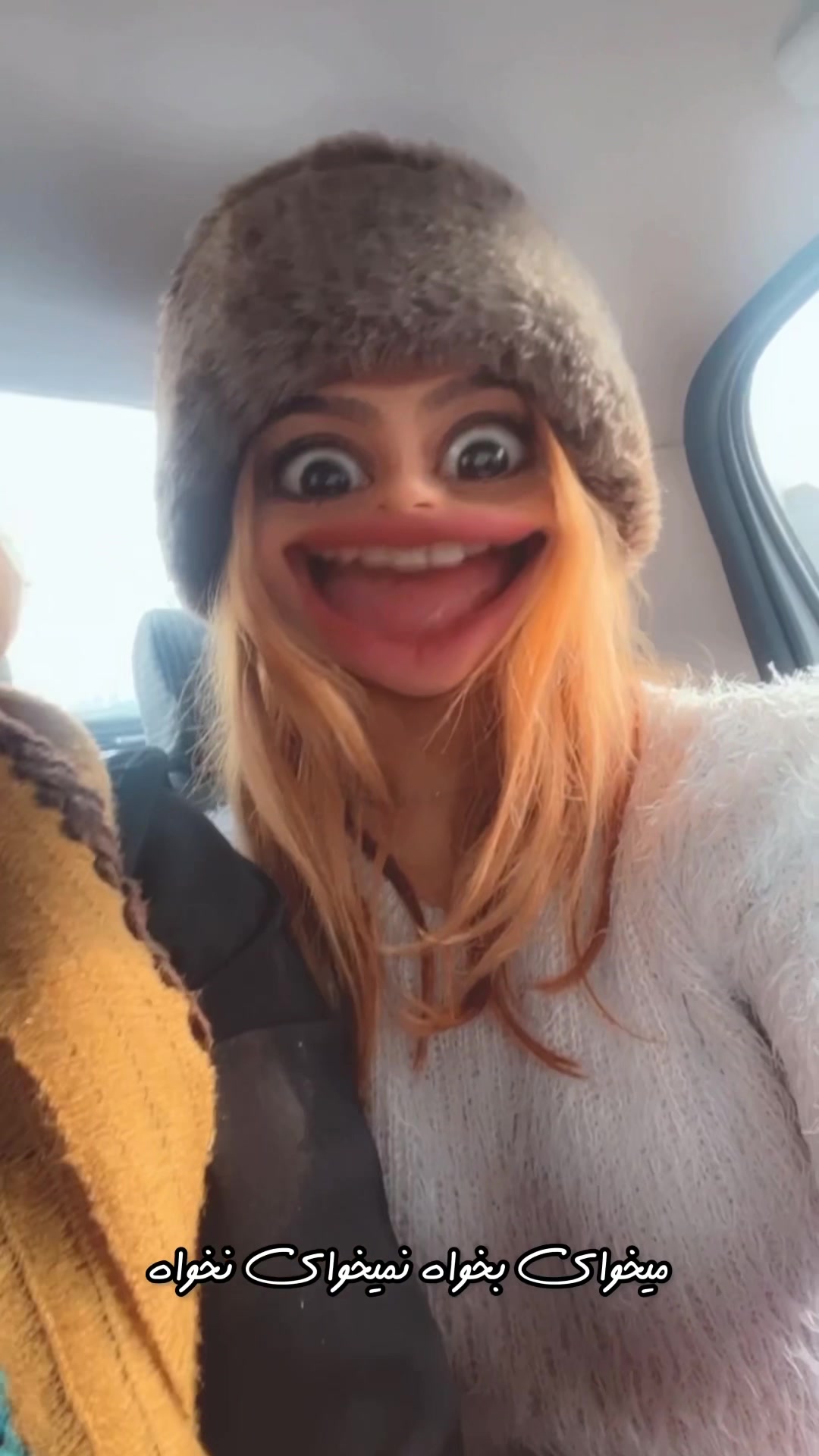 @Roshanak Alikhani