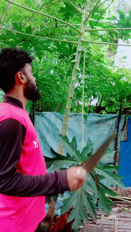 @jibi km jibi