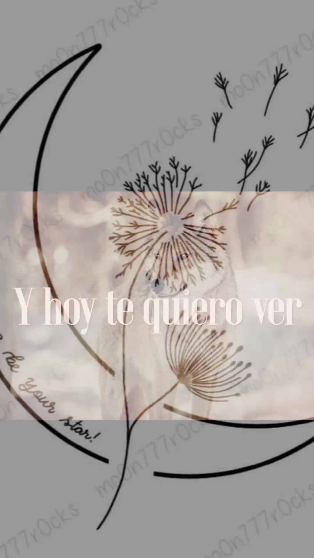 @Alondra RM