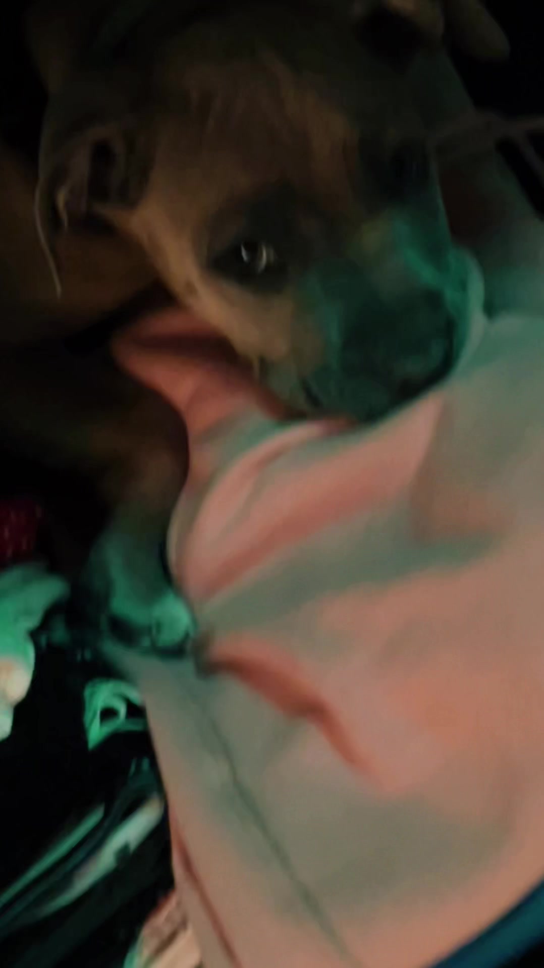 @lifeofpacoo