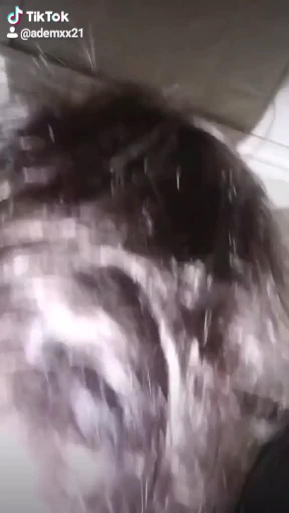 @Ademinizx1