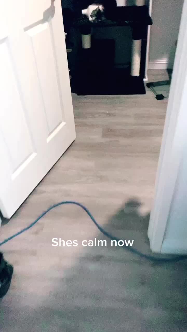 @Jennybear