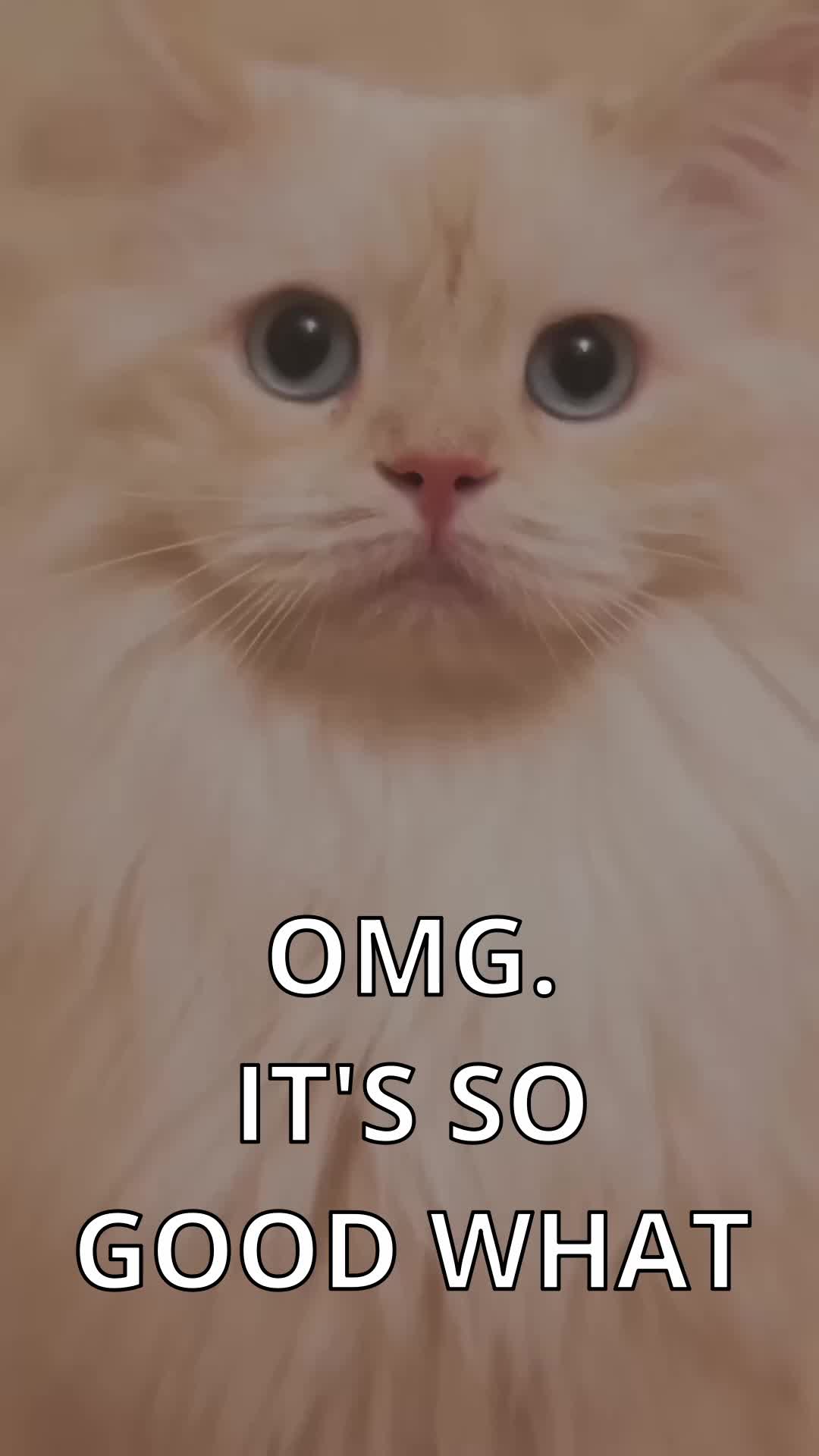 @Baela Baela