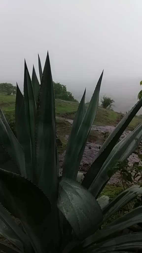 @कट्टर आदिवासी🏹🏹🏹