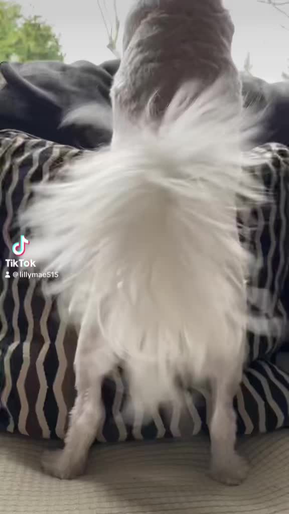 @LillyMae5