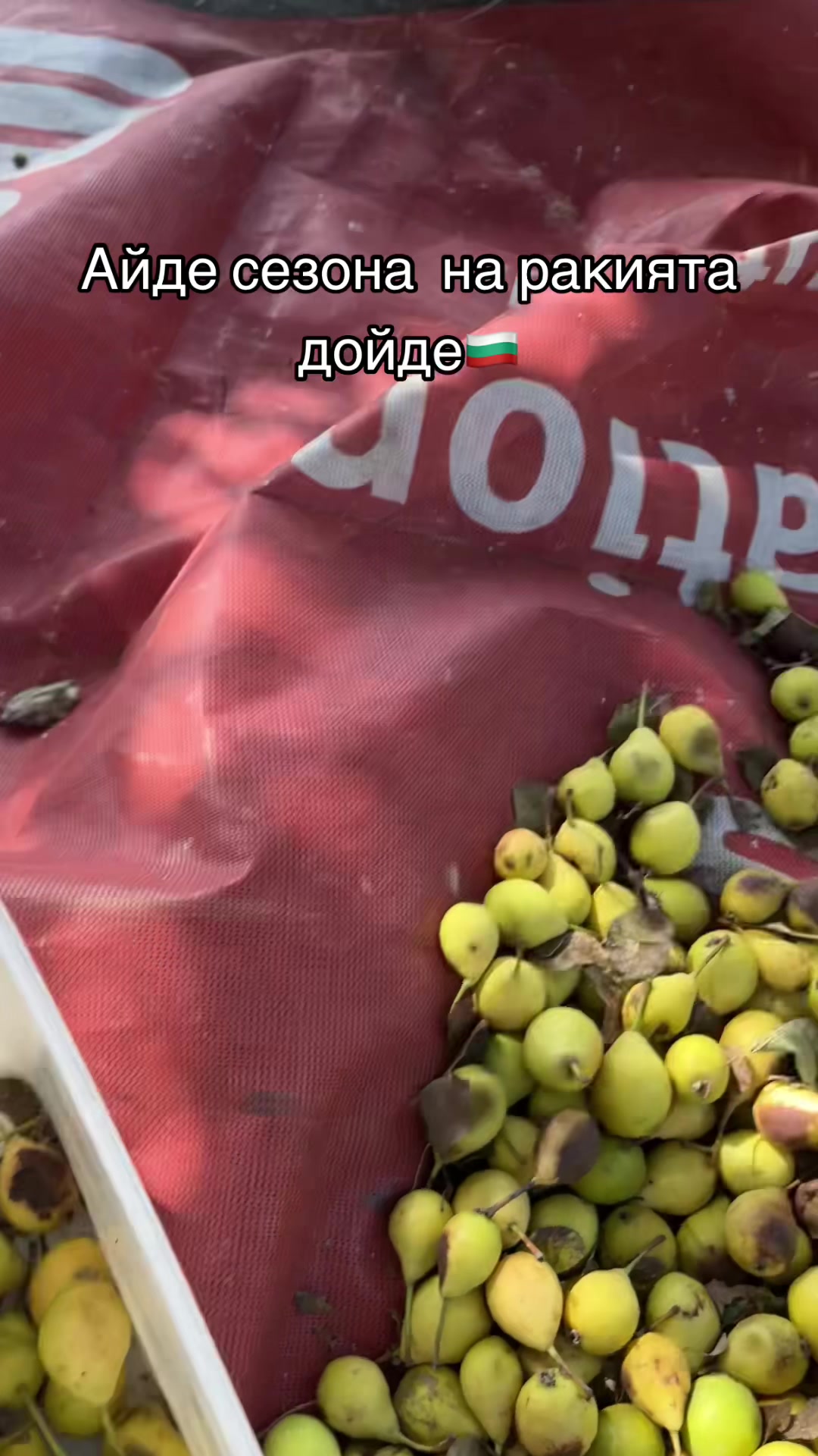 @𝟣𝟫𝟢𝟩