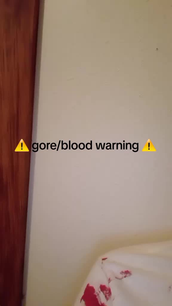 @fluffyniknowit2