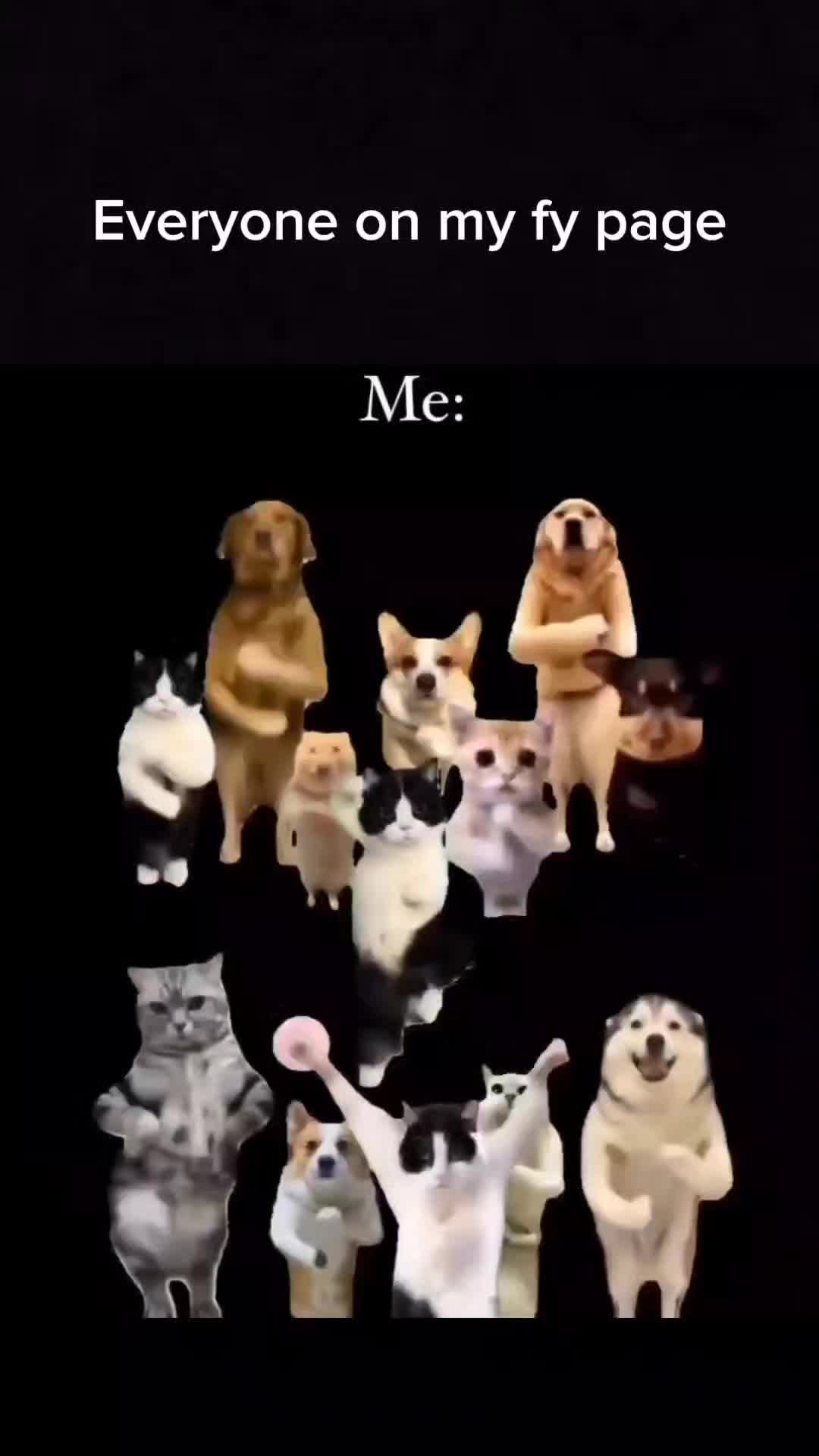 @viral2dayy