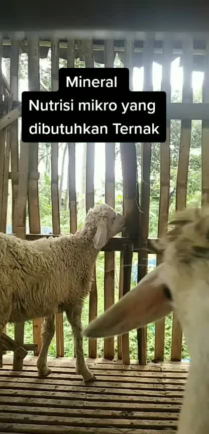@I'm A Farmer