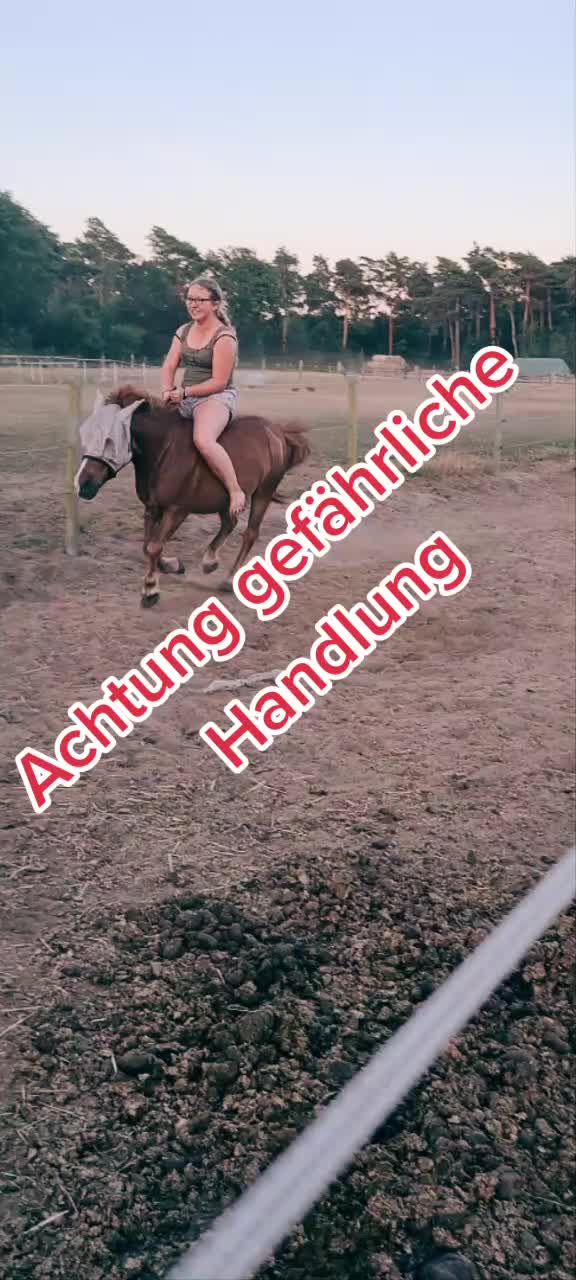 @@steffi_bonsai