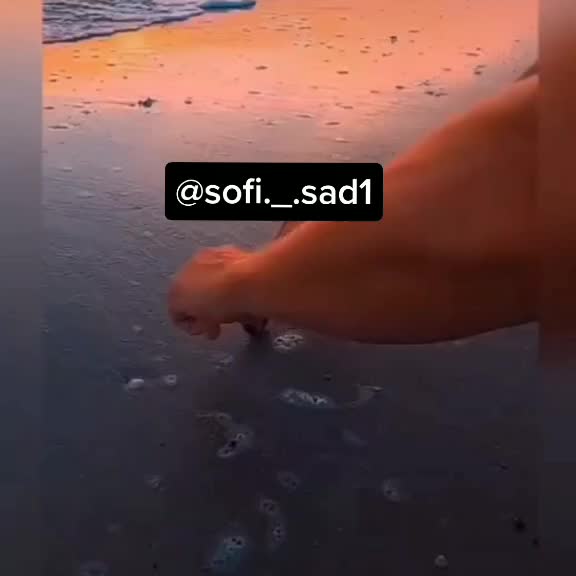 @&sect;&oslash;fı🍃