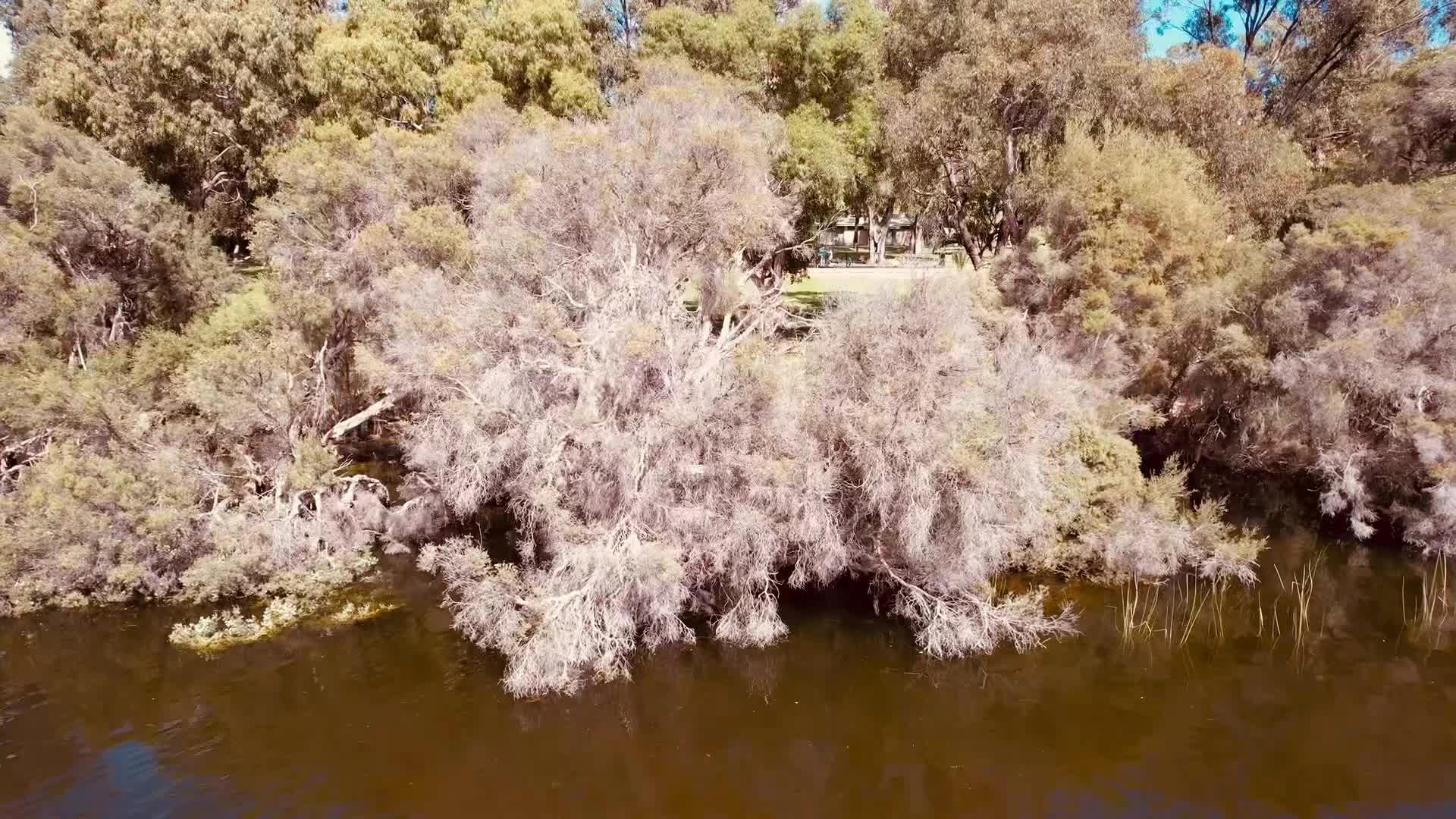 @BuilderPete