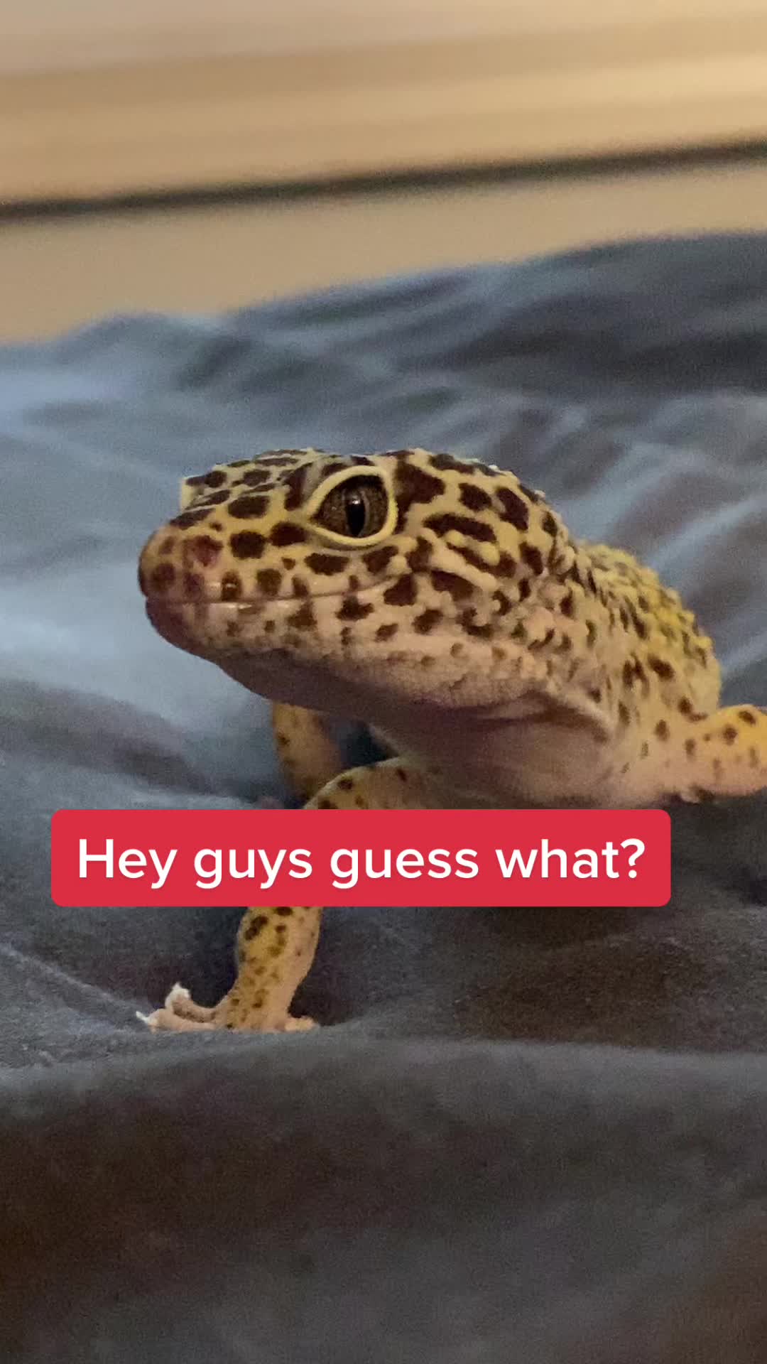 @Steve