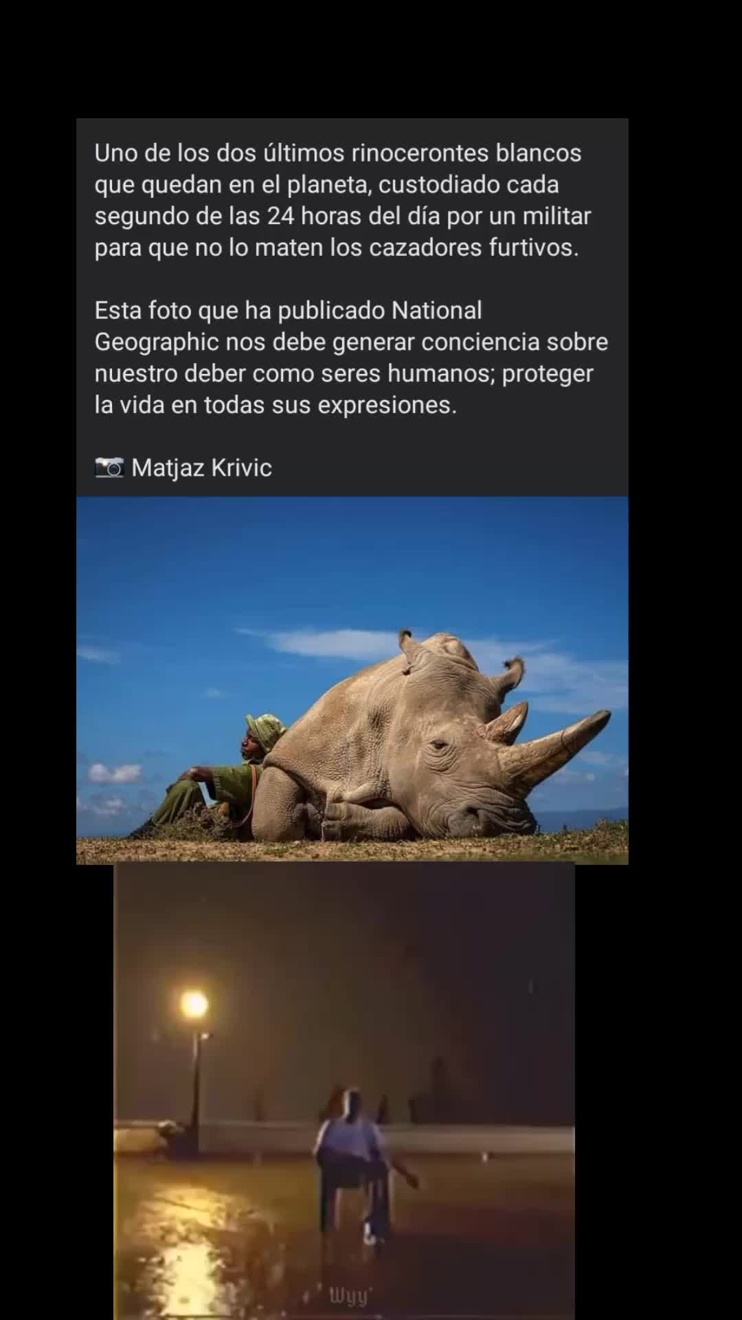 @𖤐٭*ᛟᛇᚽᚱᚽᛇ_Ꮤᛟᚳᚫ٭*𖤐