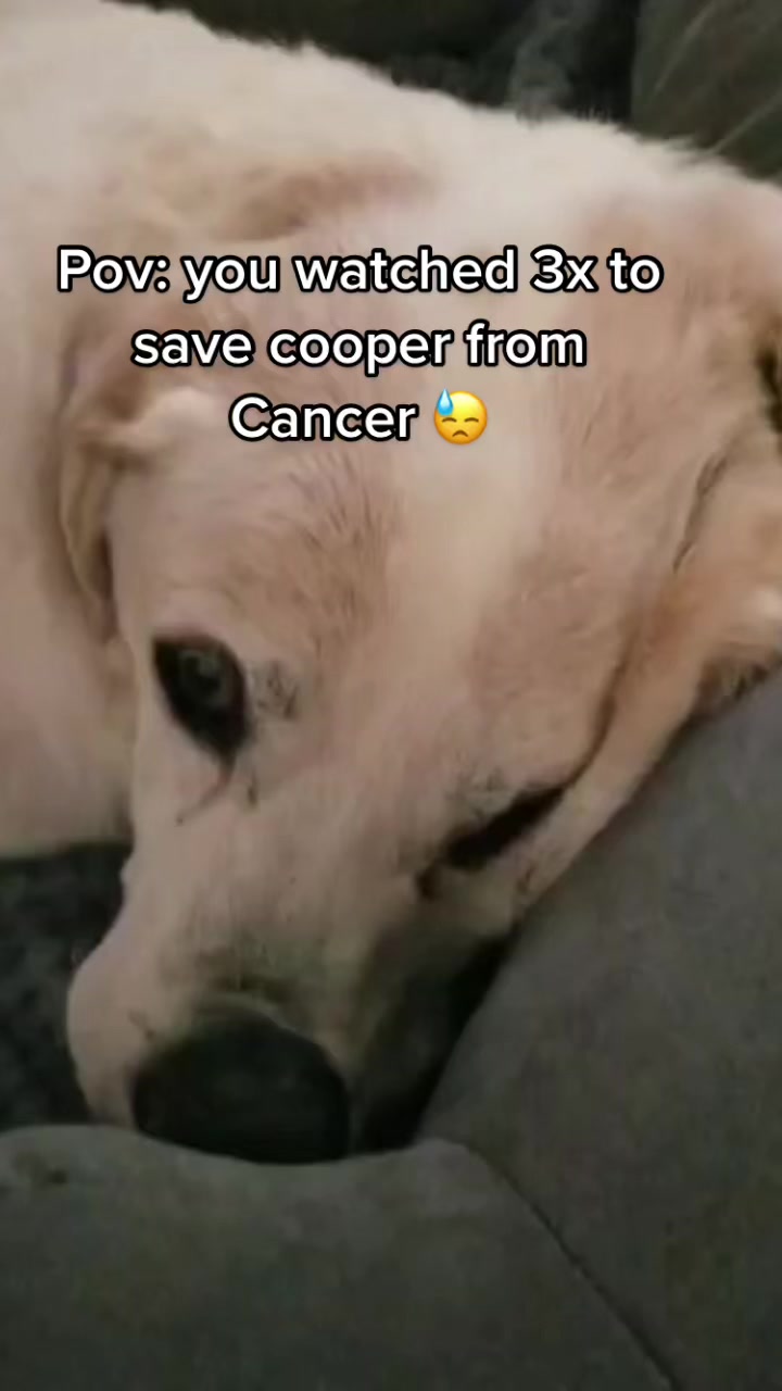 @PrayForCooper