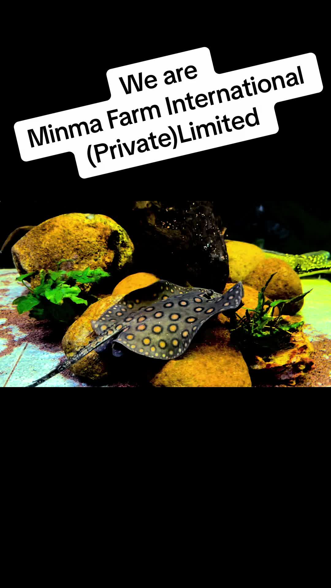 @Aquaman_lk