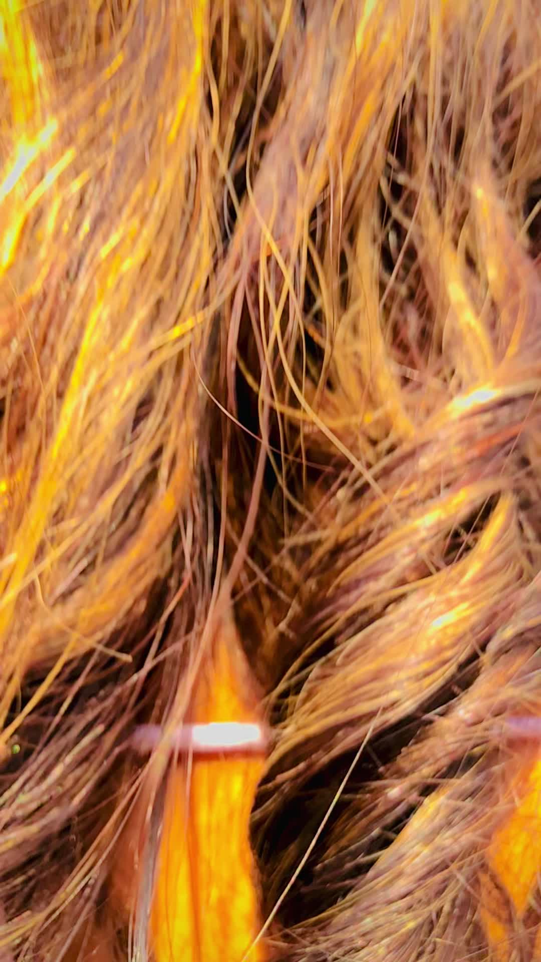 @BonU🫶