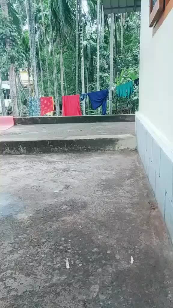 @udayanalakode