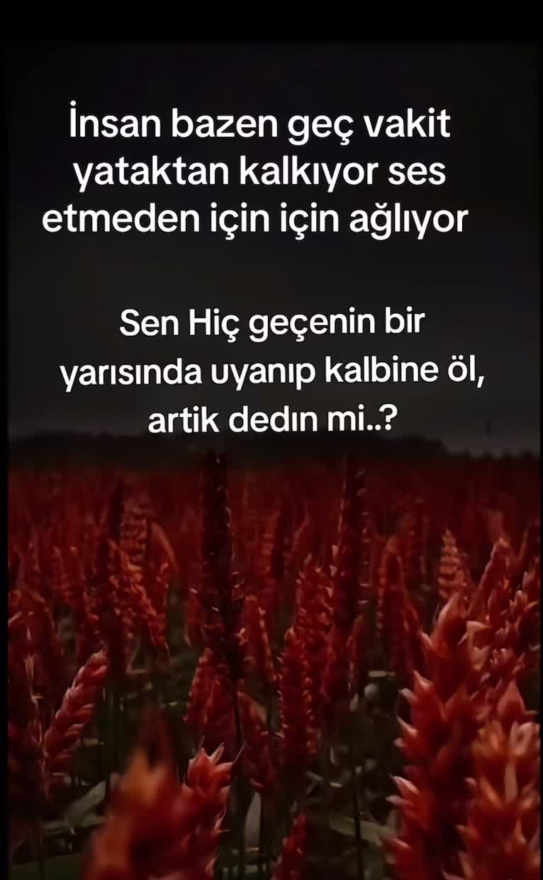 @Nuran nursen