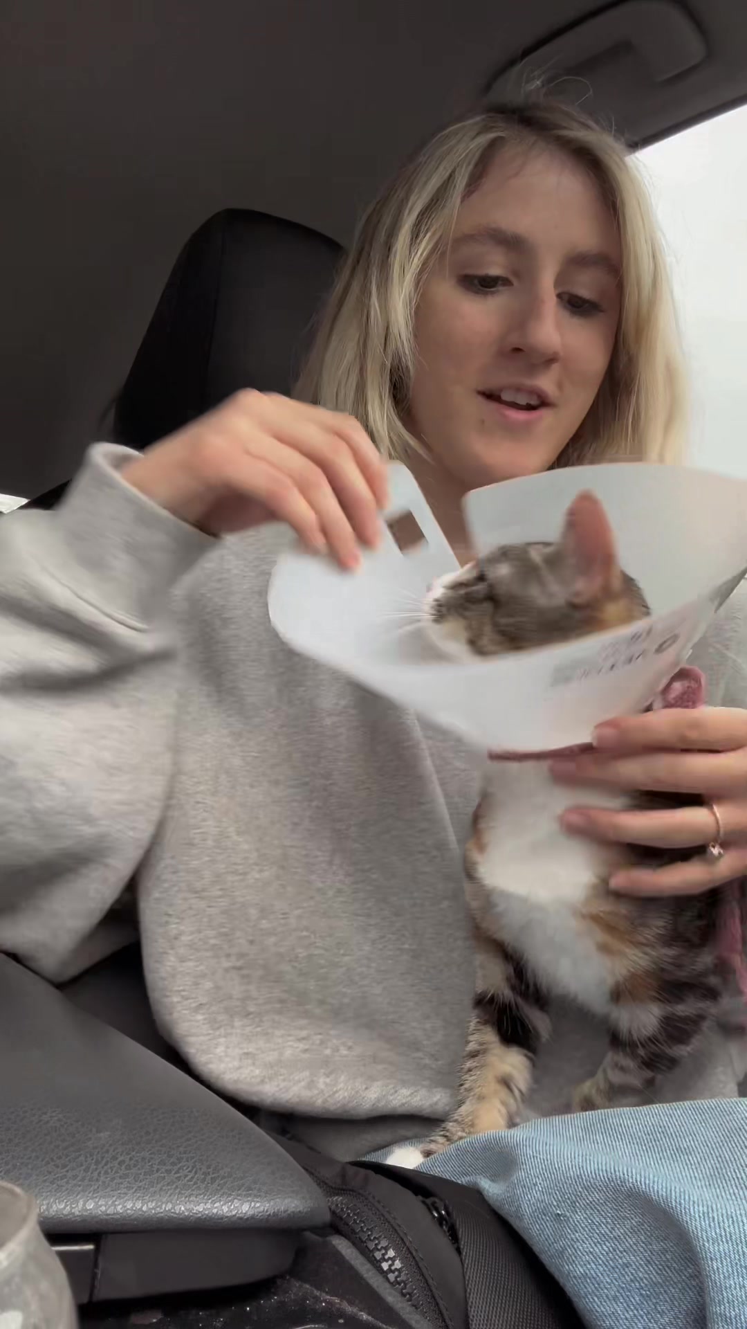 @Cat videos