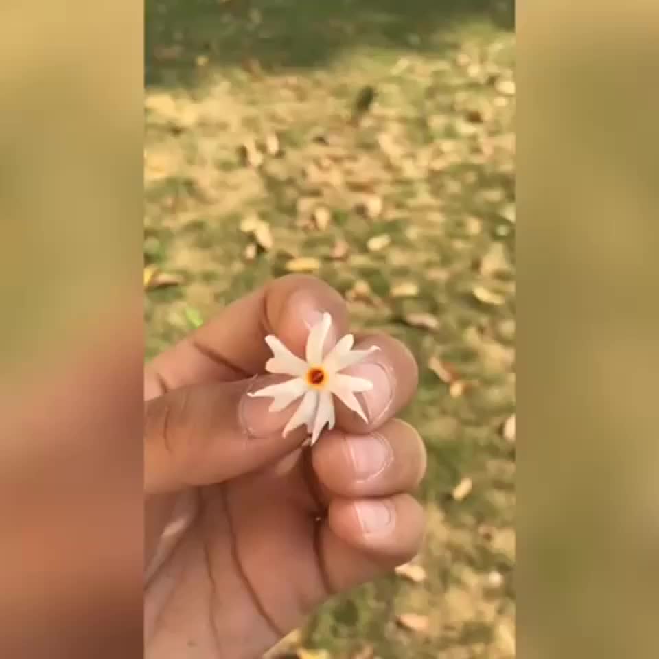 @Manya Jain