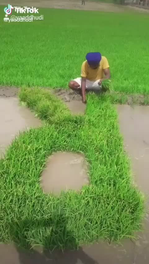@Riya bengra
