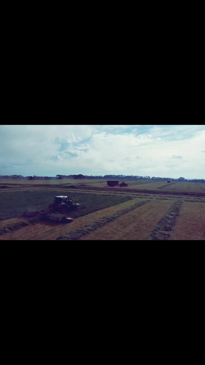 @mossyflix