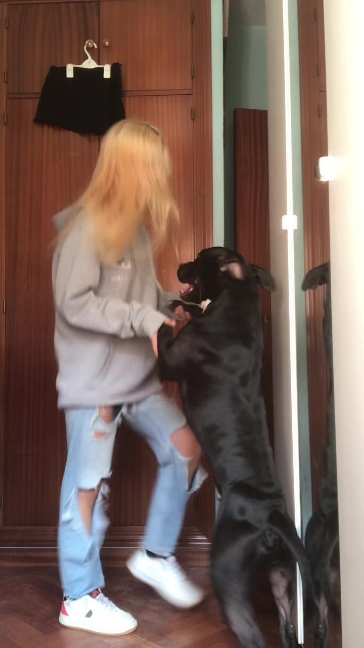@telvuchi03