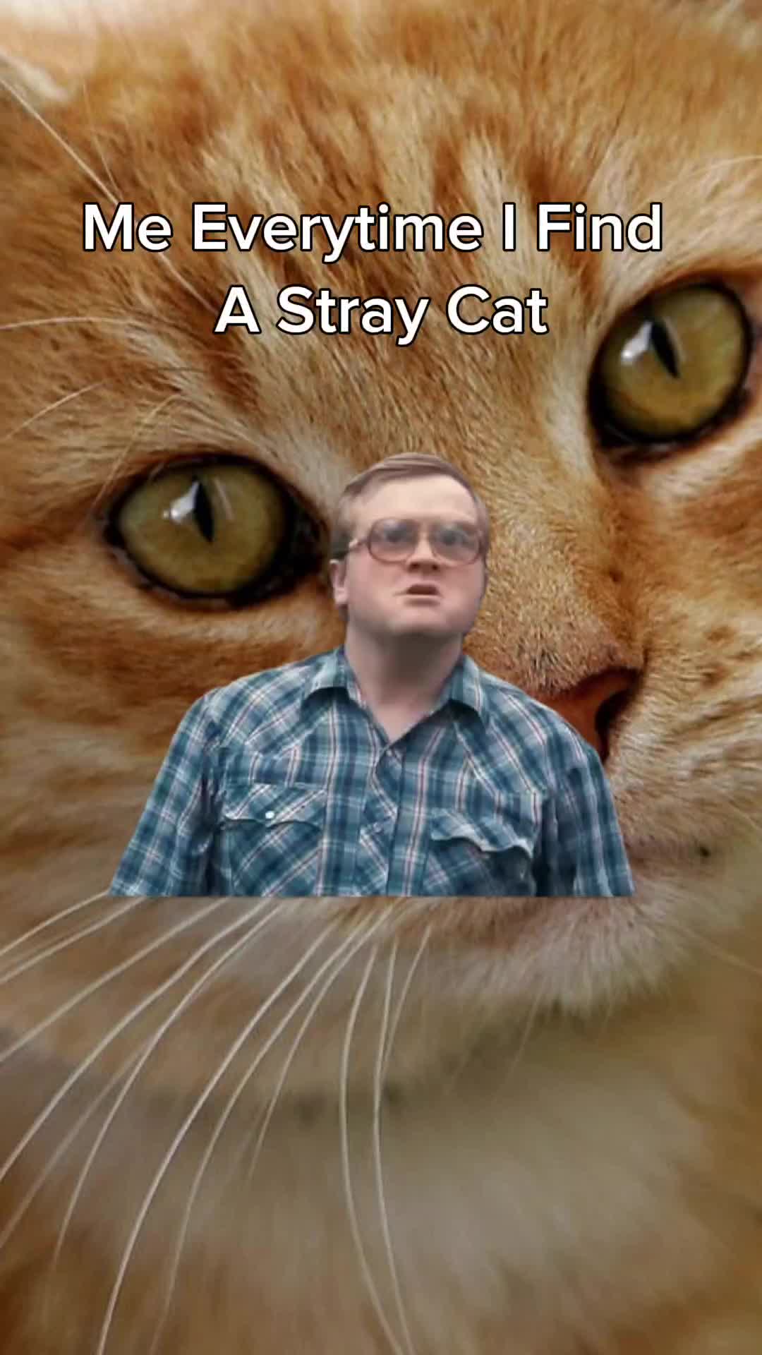 @Green Screens