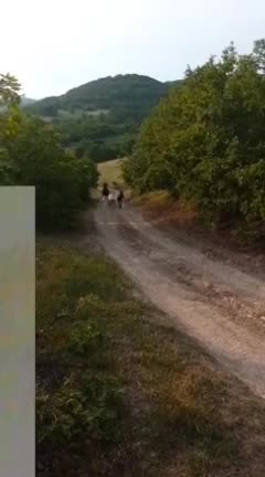 @Qusi_084