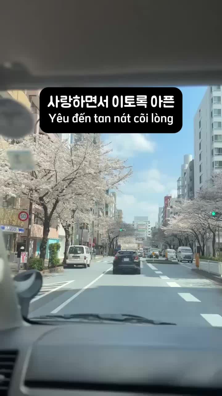 @Hàn Ngữ INU Korean