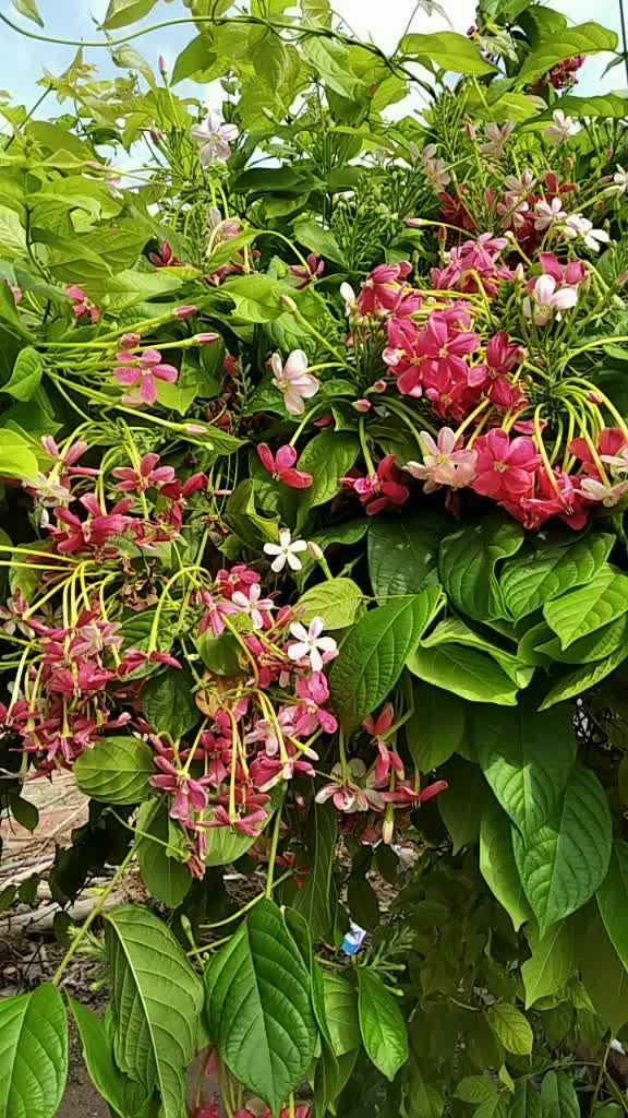@Arunkumar