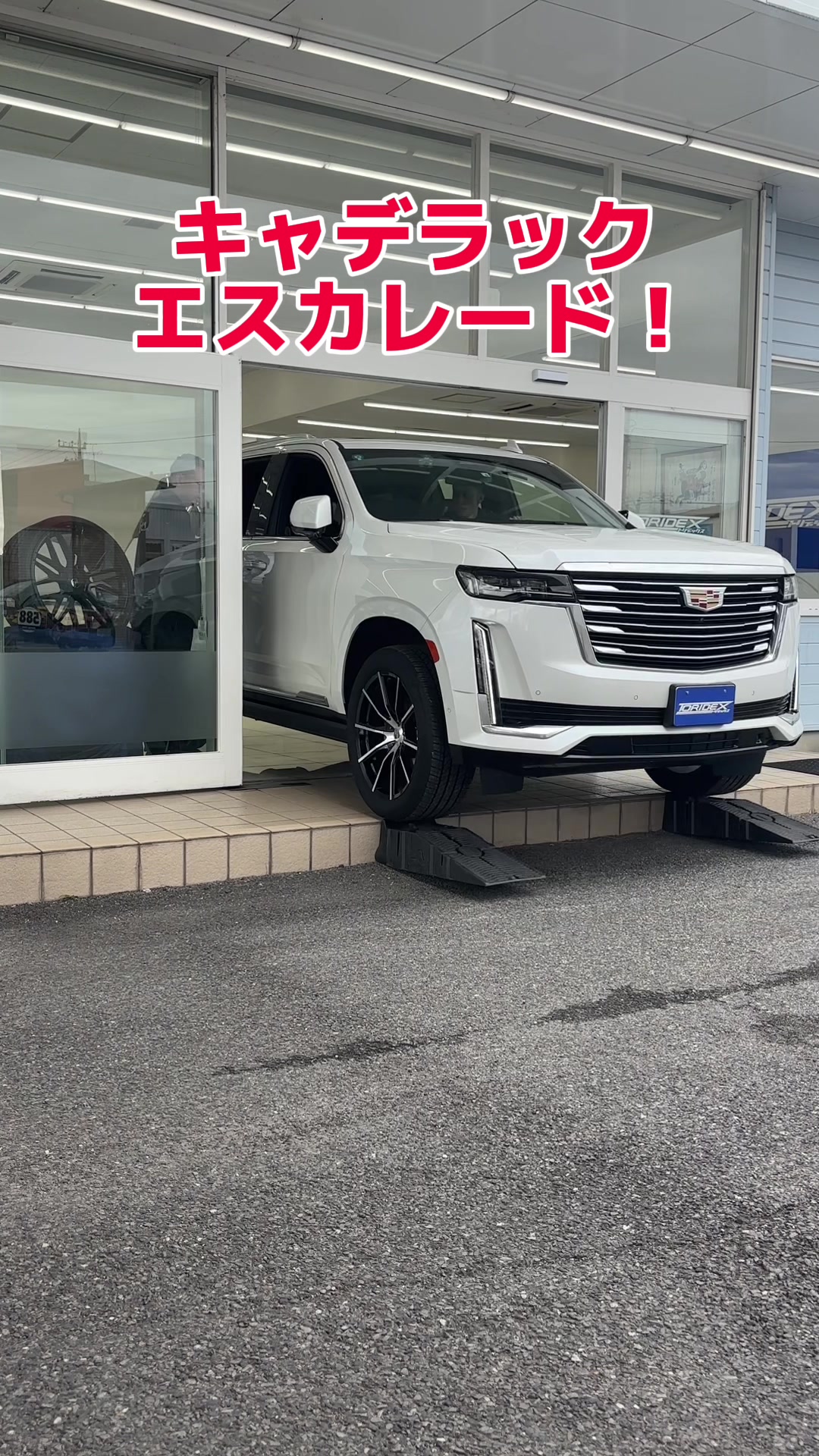 @アメ車専門店トリデックス